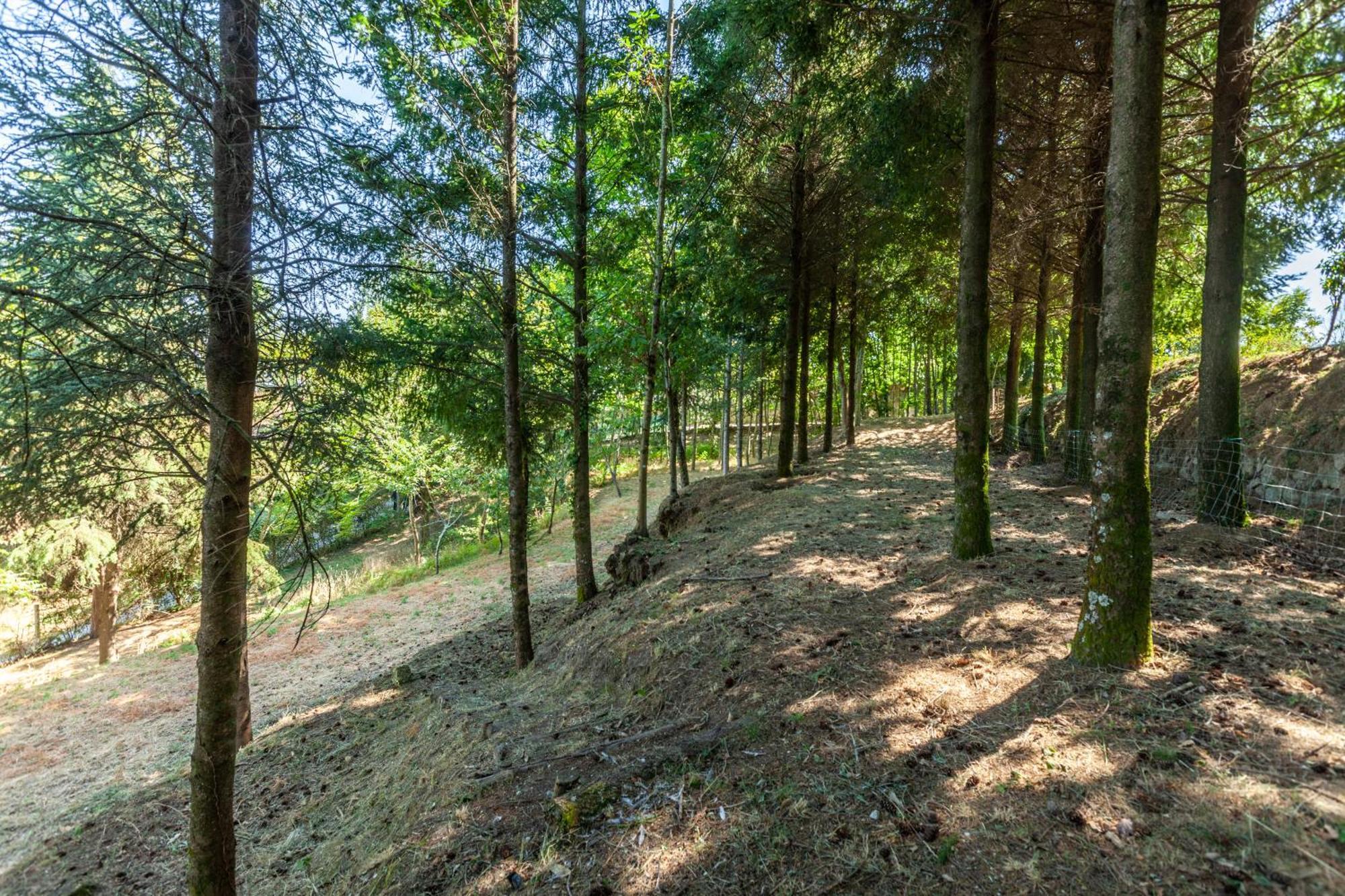 Villas Prendal Eco Living - Minho'S Guest Guimaraes Luaran gambar
