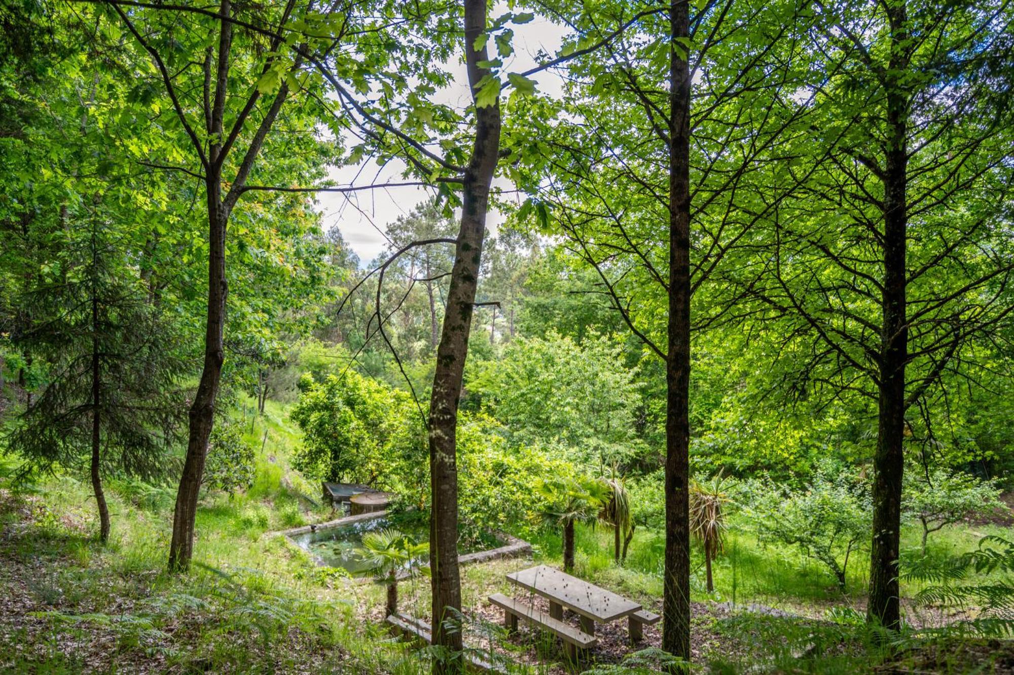 Villas Prendal Eco Living - Minho'S Guest Guimaraes Luaran gambar